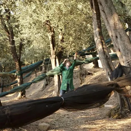 Taverna Del Capitano 4*