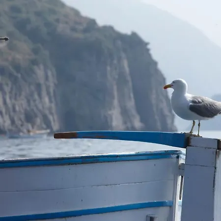 Taverna Del Capitano ホテル