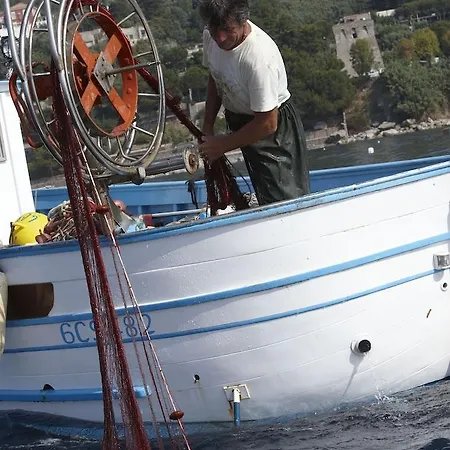 호텔 Taverna Del Capitano