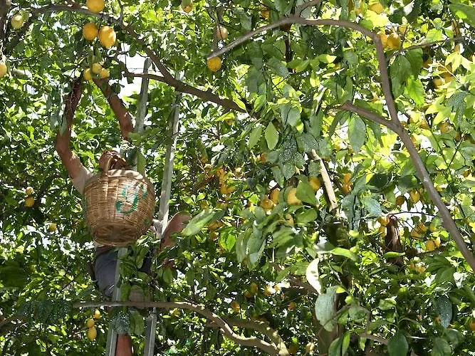 Taverna Del Capitano 4*